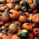 ia01i_pumpkins